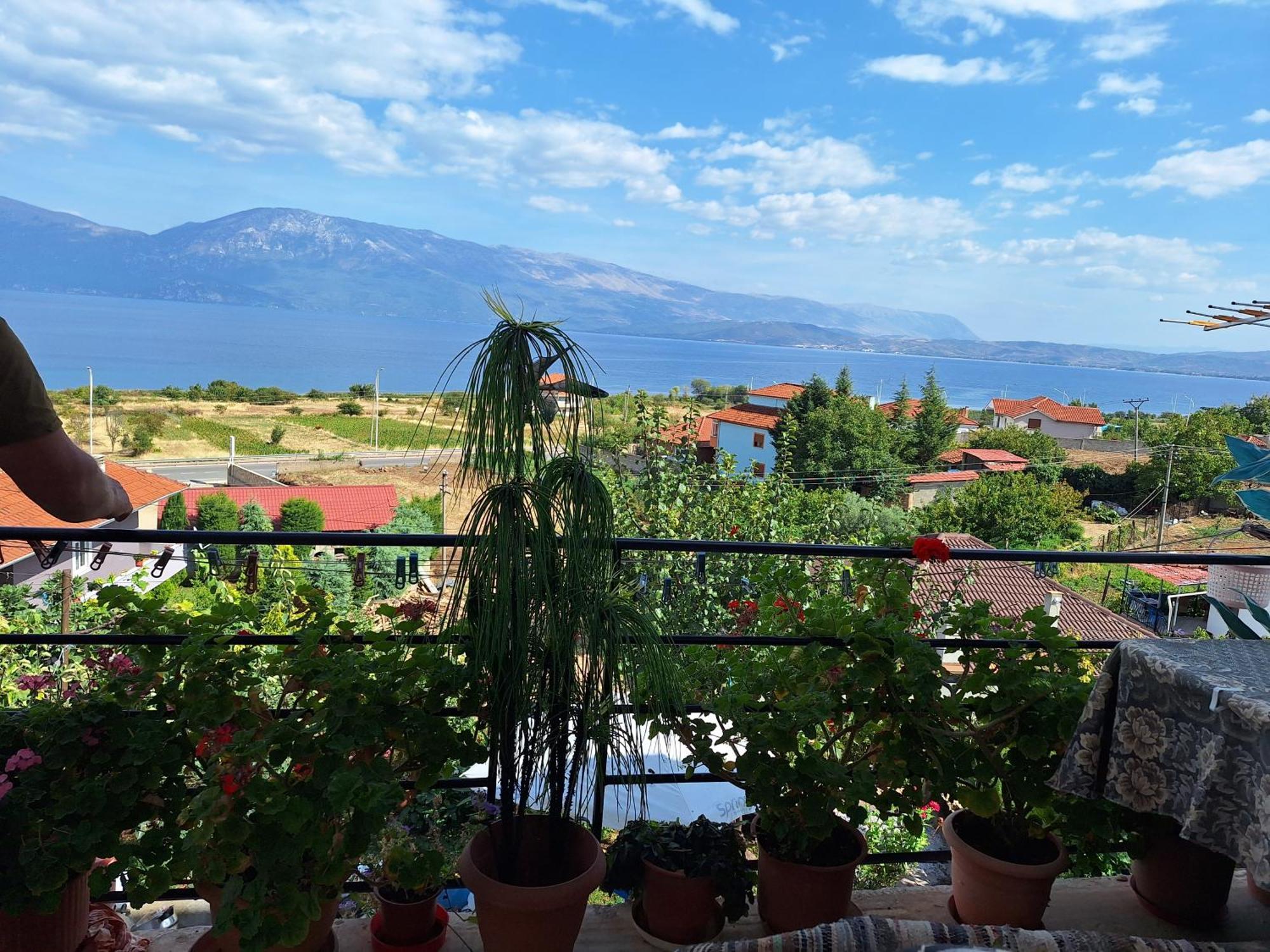 Taku Wonderful View Of Ohrid Villa