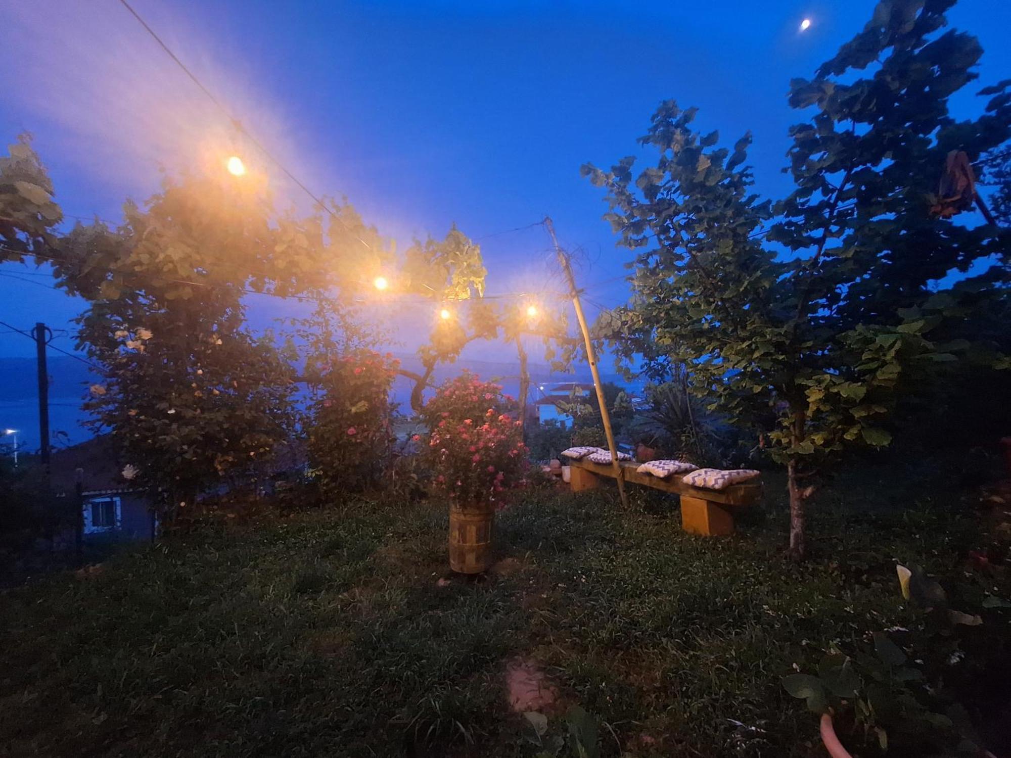 Villa Taku Wonderful View Of Ohrid *