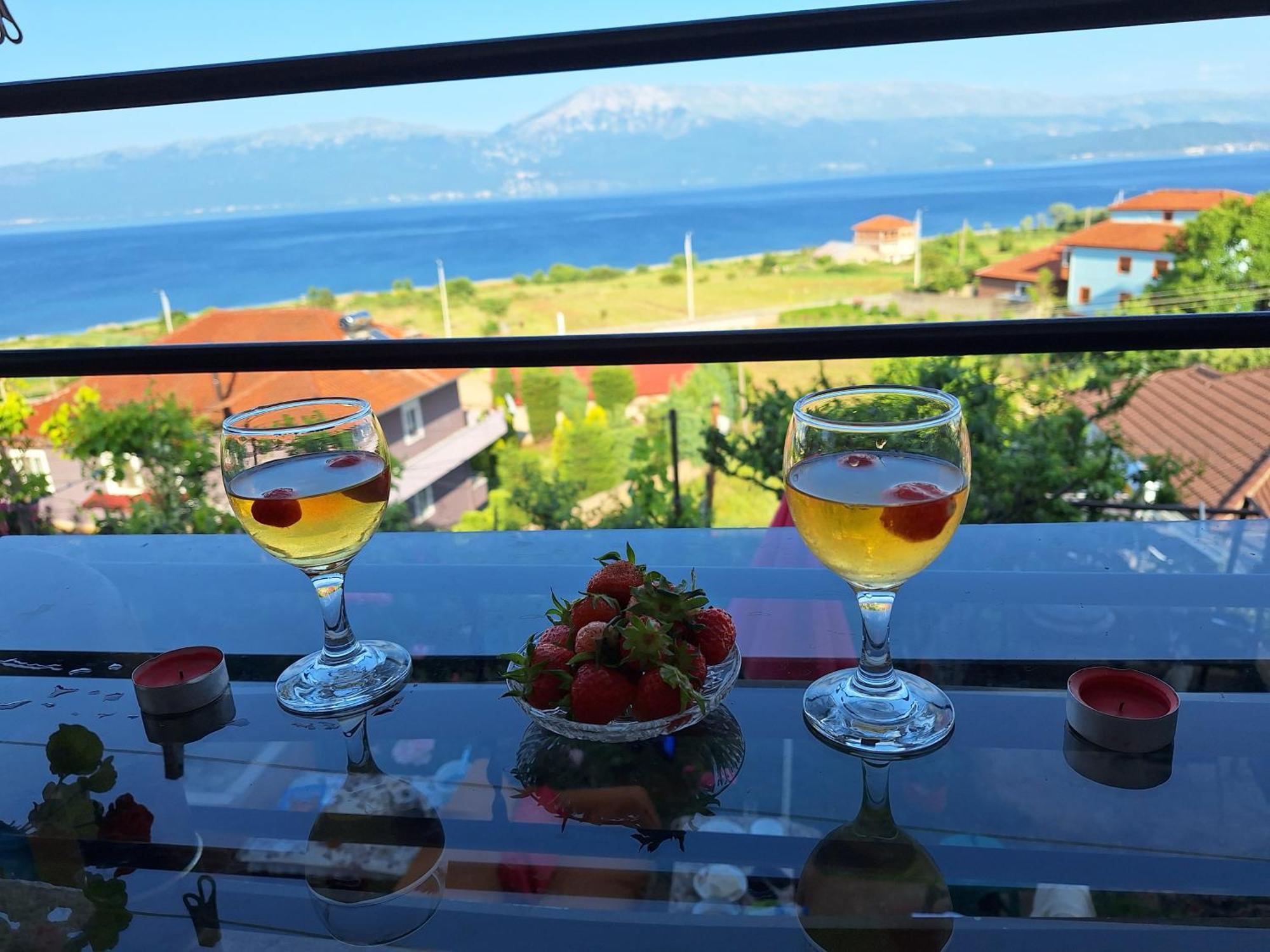 Taku Wonderful View Of Ohrid Villa