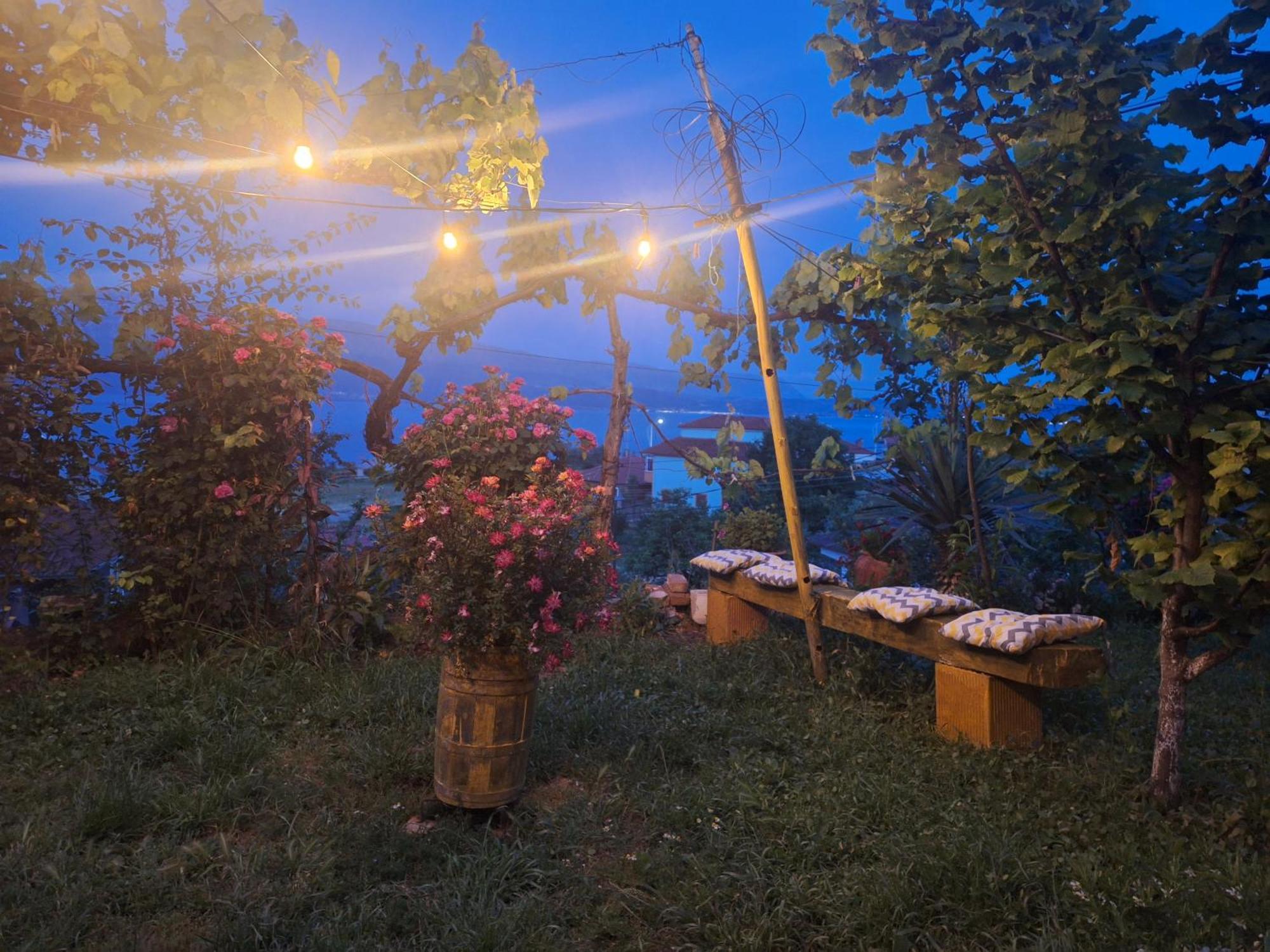 Taku Wonderful View Of Ohrid Villa